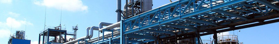 BASF，Nanjing